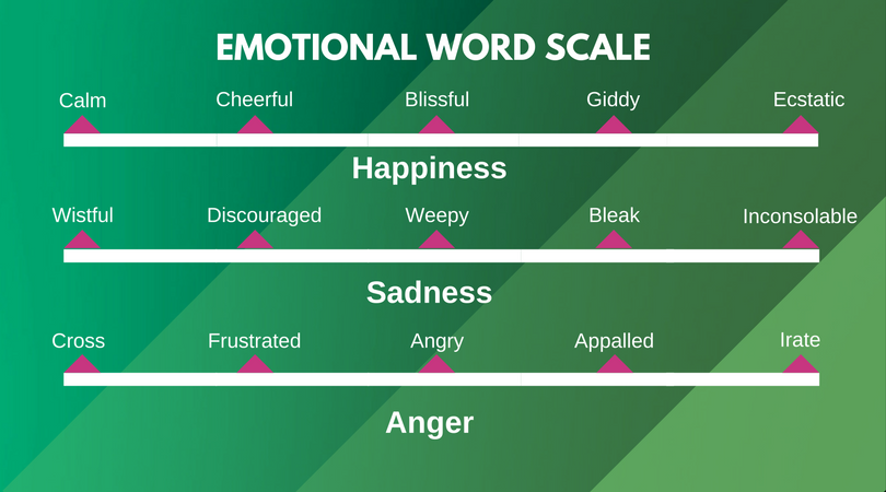 Emotion Word Scale-Vocabulary