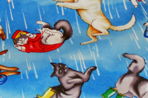 1400 x 500-English Idioms
